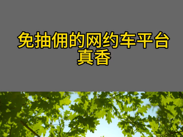 高德网约车抽佣最高的那些平台,2021高德网约车平台免佣金