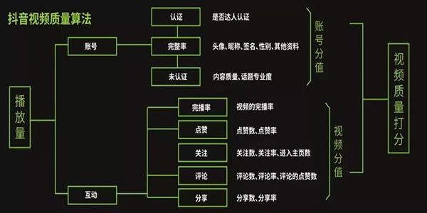 新抖音号涨粉运营方案,抖音号如何涨粉